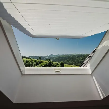 Apartment Dziewanna Szczawnica